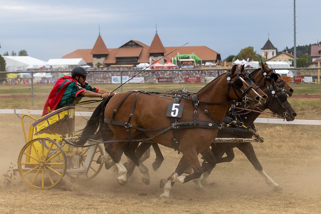 的战术体系 的战术体系