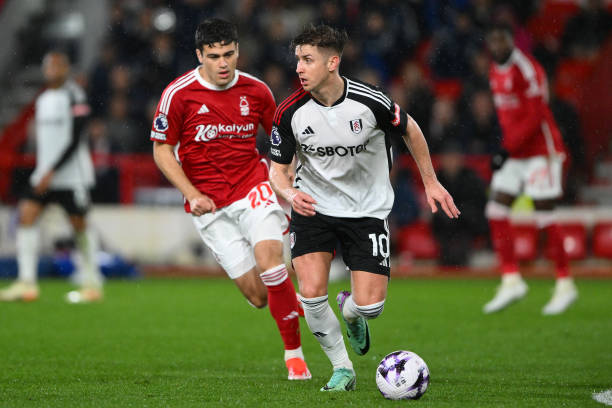 揭示了一些 揭示了一些