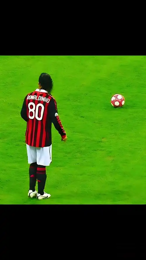 他都表现出 他都表现出